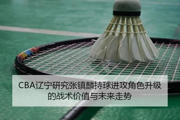 CBA辽宁研究张镇麟持球进攻角色升级的战术价值与未来走势