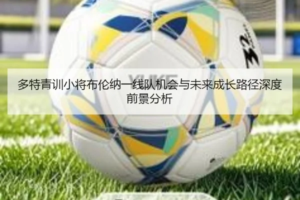 多特青训小将布伦纳一线队机会与未来成长路径深度前景分析