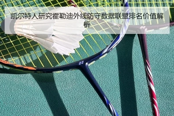 凯尔特人研究霍勒迪外线防守数据联盟排名价值解析