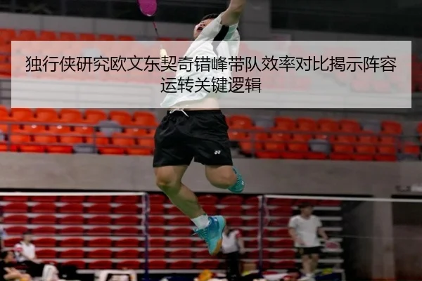 独行侠研究欧文东契奇错峰带队效率对比揭示阵容运转关键逻辑